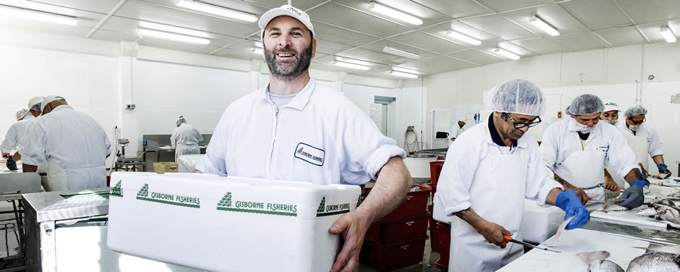 Our processing team