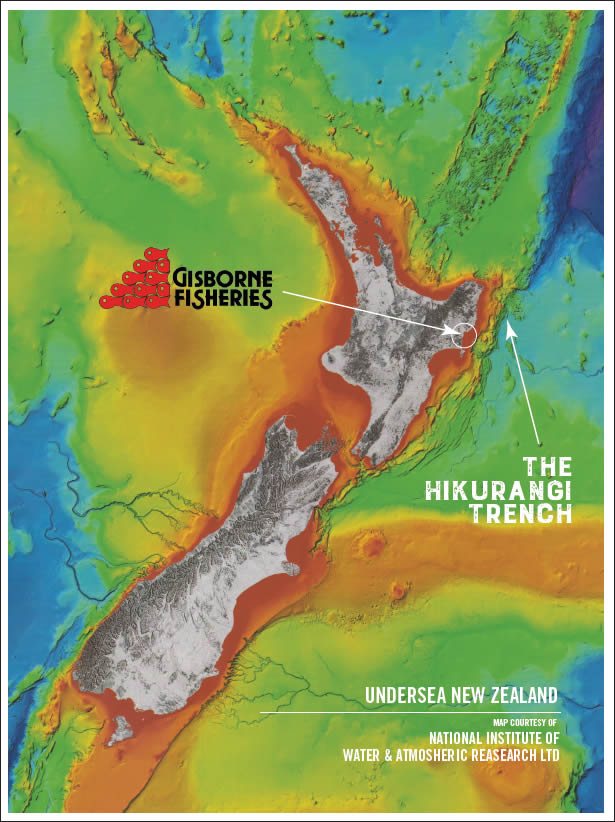 hiku trench